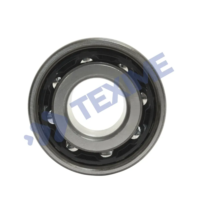 Double Row Angular Contact Ball Bearing 3202BTVH